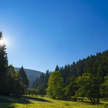 The Conscious Farmer Bed&Breakfast Sauerland-3